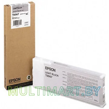 Картридж Epson C13T606700 картинка 2